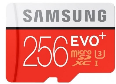 carte mémoire - carte micro SD 256 Go