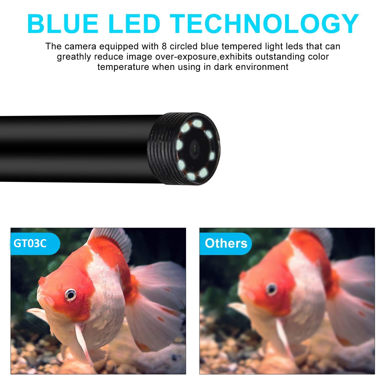 endoscope avec éclairage à LED BLEUE