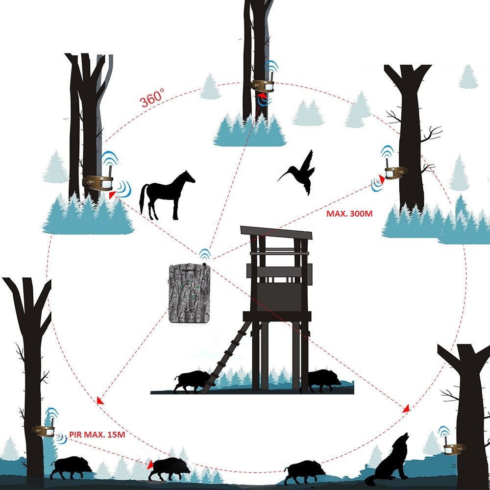 système d'alarme de chasse Bestguarder dans la forêt