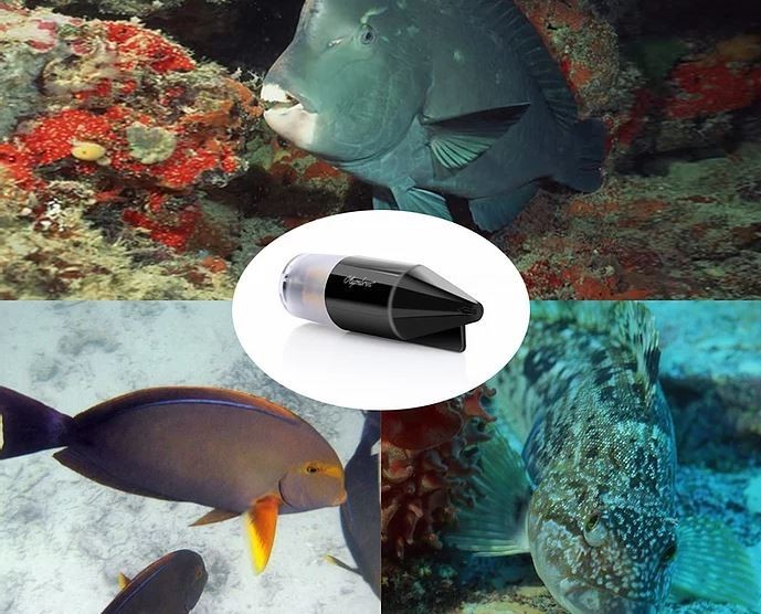 caméra sous-marine pour les pêcheurs